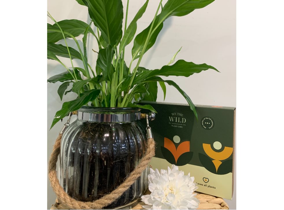 Plant Lover